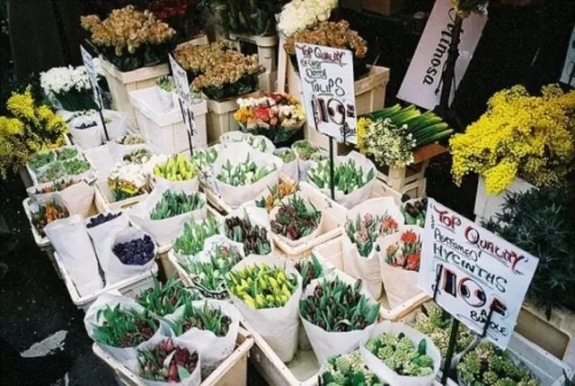 小白如何开好一家花店?