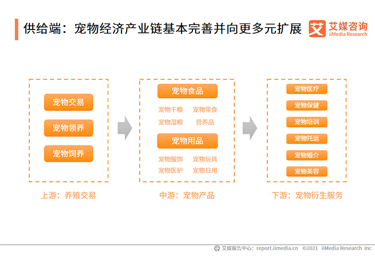 宠物经济:在日益细分的市场中寻找有潜力的新生意
