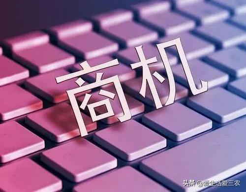 分享五个投资小、利润高的农村小型加工厂,建议收藏