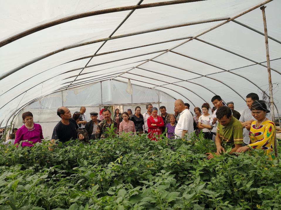 你真的能改变生活吗?农村人的致富方法其实是可以复制的