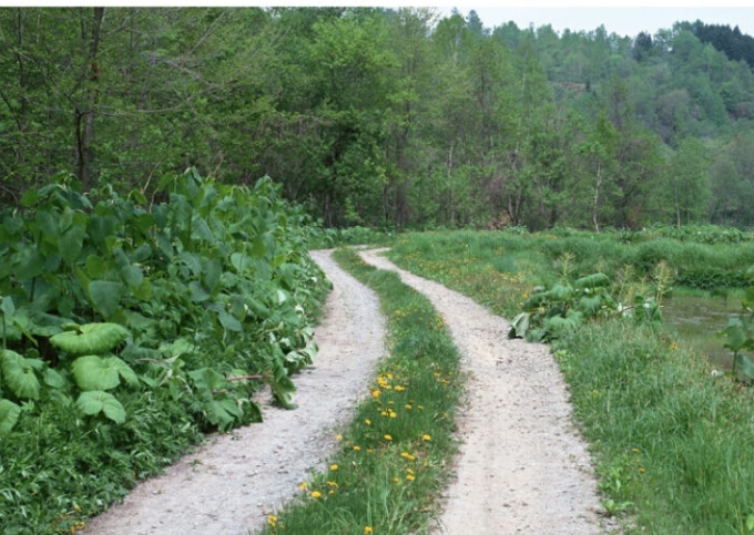 农村创业做什么好，今天我给大家分析分析，或许对你有帮助