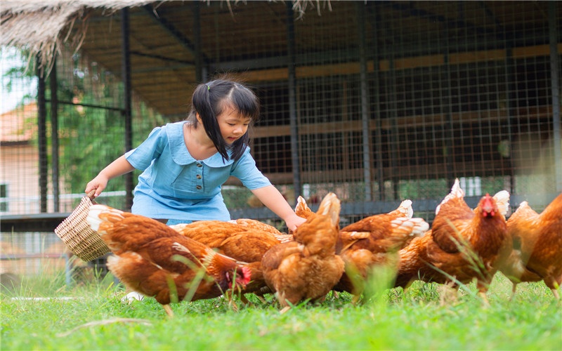 现在的农村,小本投入,有哪些可以赚大钱的途径?