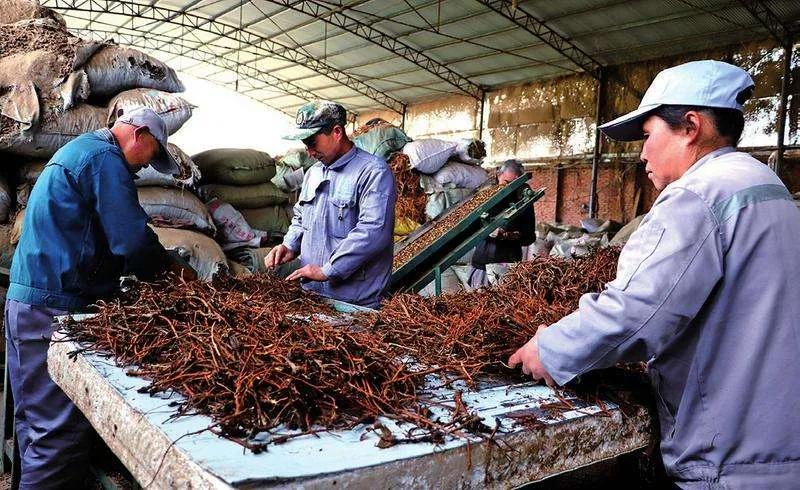 200个农村创业项目大分享(7)倒卖生意篇