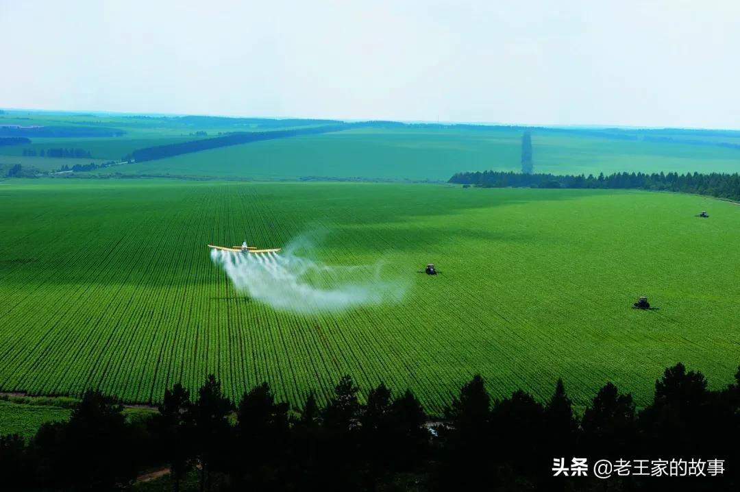 运营之道 | 新型的八种农业新模式，你都听过吗