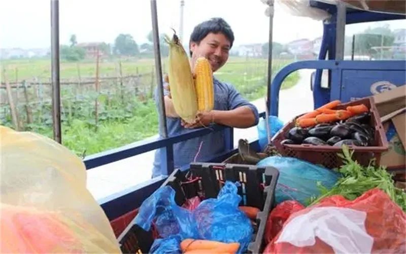 在农村,这4个小生意都比较有“钱途”