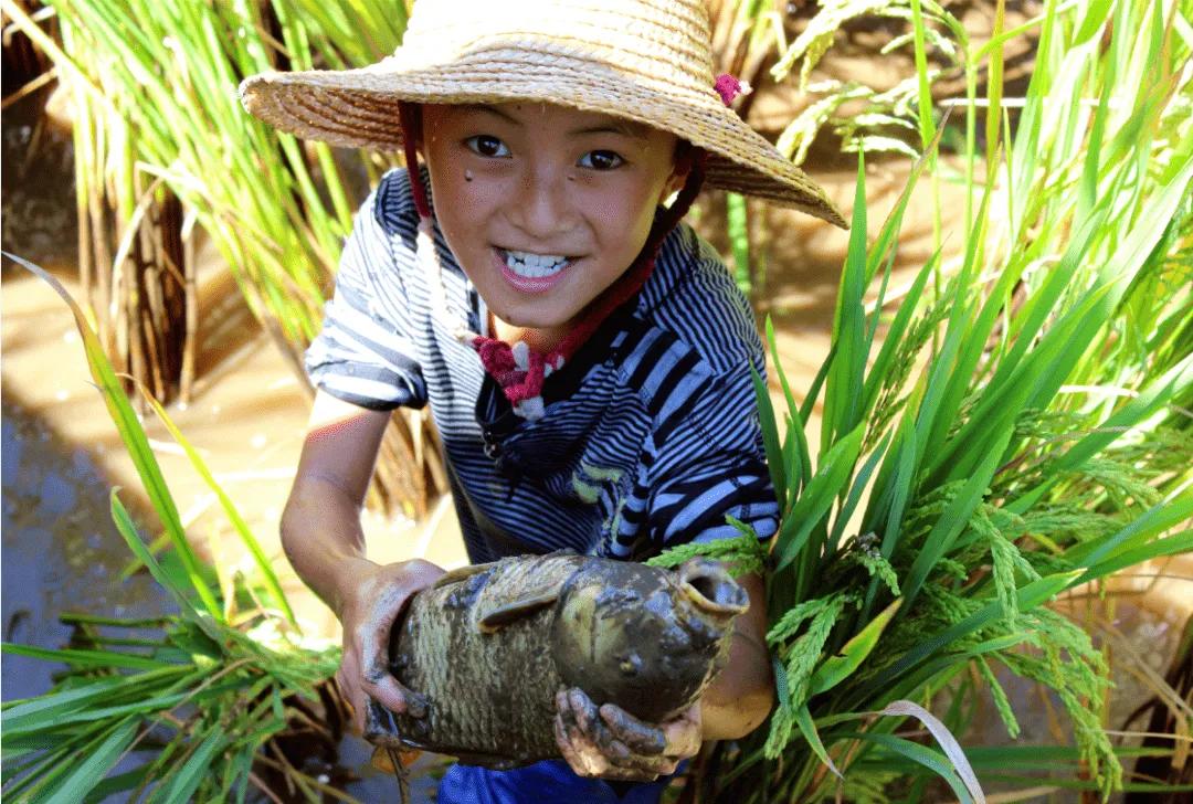 在农村怎么做生意赚钱