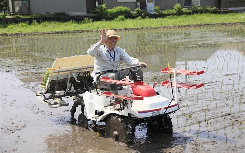 躺赚，农村的这几条挣钱途径，非常有“钱”途