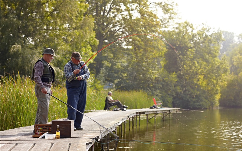 农村大片荒芜的土地,隐藏着哪些创业商机?这几方面