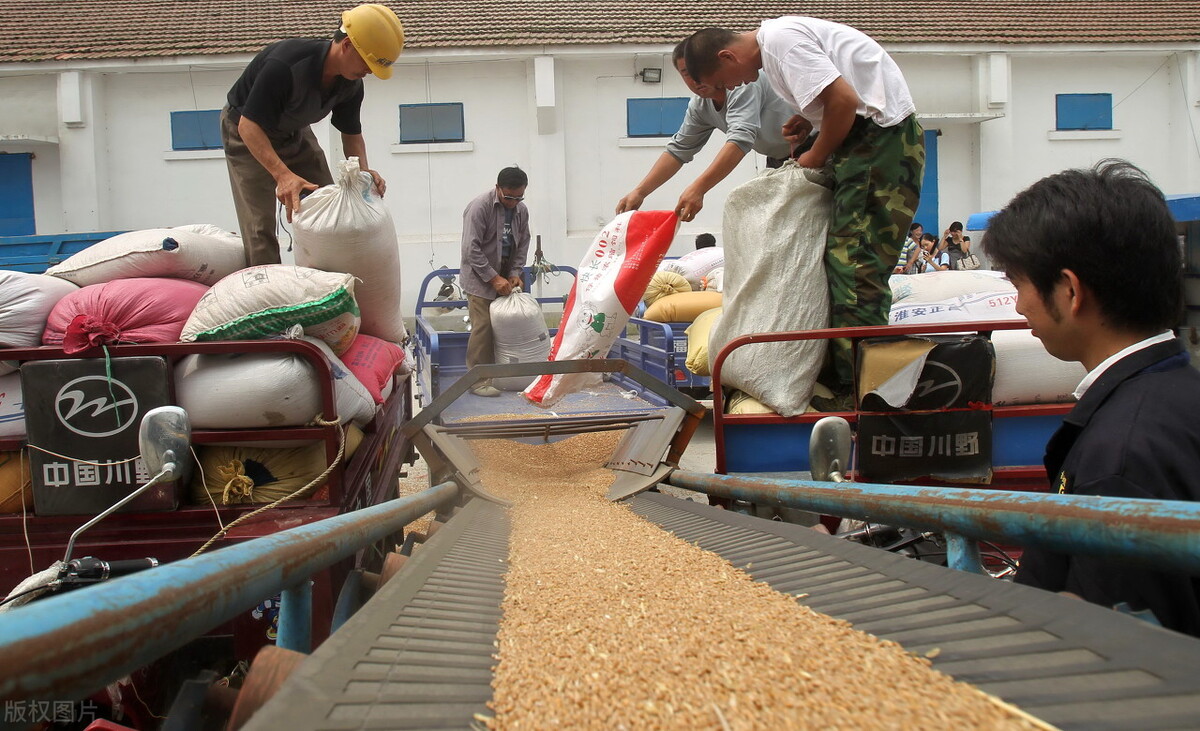 都说在农村赚钱难，能让农村人赚钱的4种方法，学习一下吧