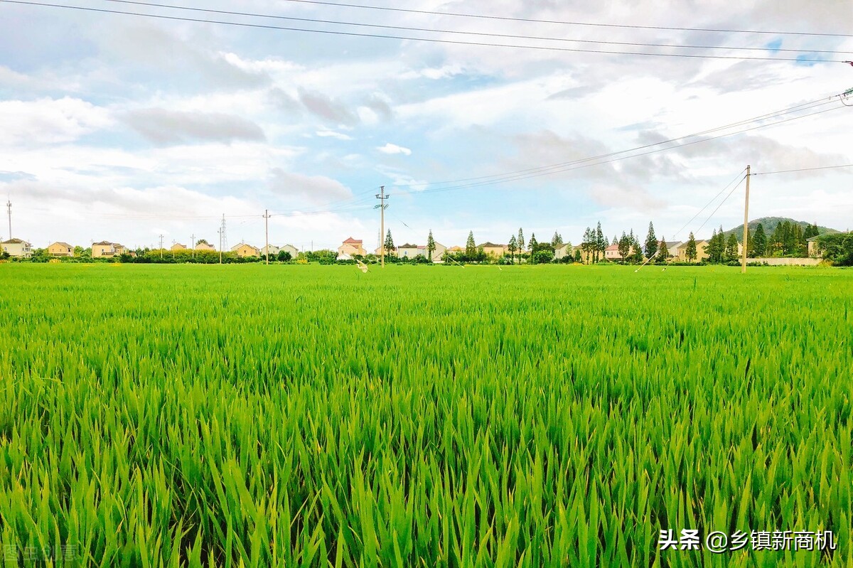 农村最具有潜力的创业项目，未来几年值得投资的项目推荐