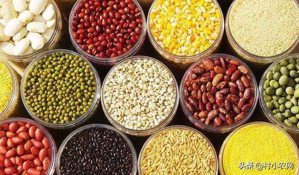 农村创业种啥养啥赚钱快?这22个农村创业项目,总有1个适合你