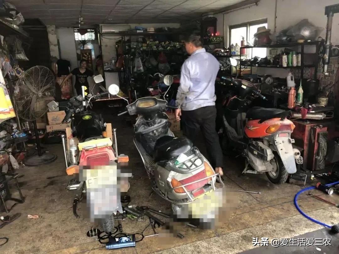 农业小项目,也能挣大钱,这些偏门小生意原来真的很挣钱!