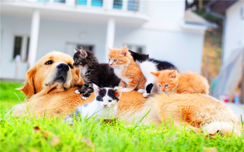 目前投入3万元,能做哪些比较稳妥,可以短期回本的创业项目?