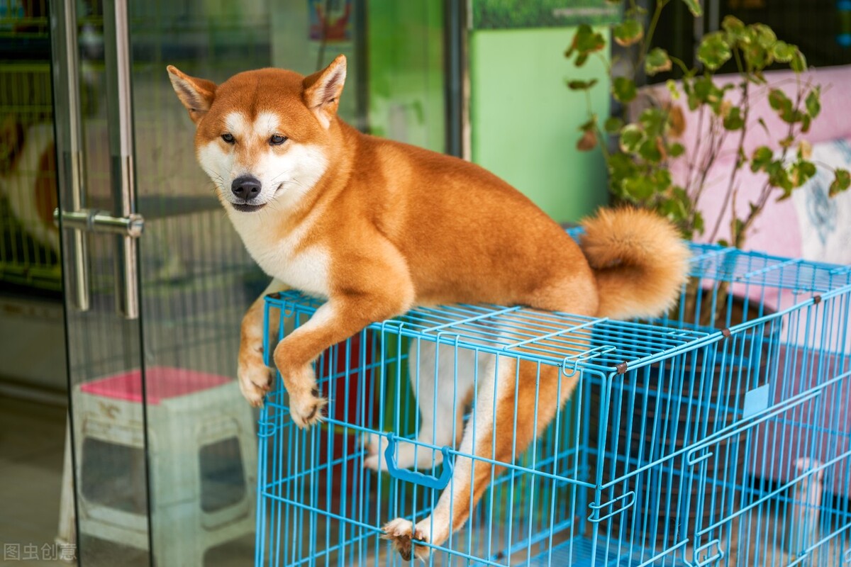 十几万存款,要不要创业?这些低成本高利润项目值得入手