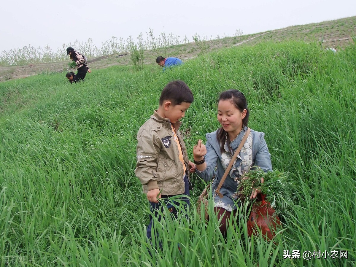 农村创业干啥能快速致富?隐藏在乡镇的45个项目,总有一个适合你