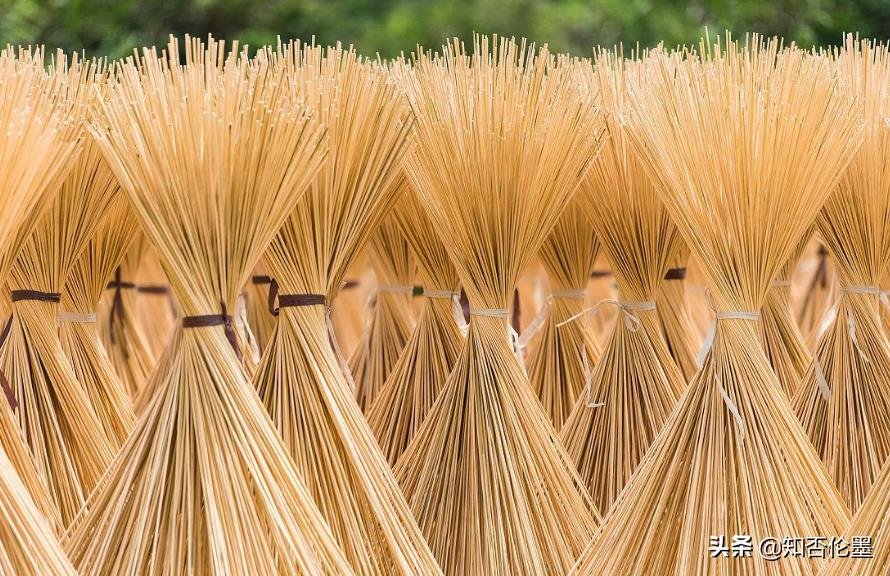 2022年返乡创业,干哪行“投资小,回报大”?这几个项目值得参考