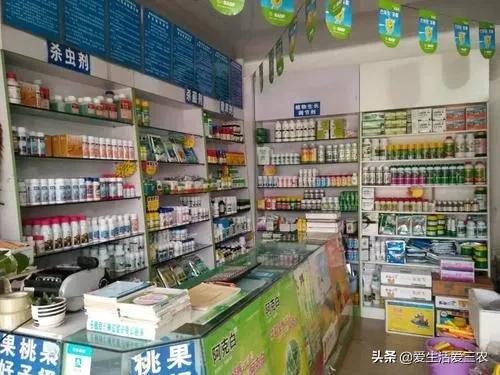 想在农村创业有怕赔钱?来做这几个很稳妥的项目吧,建议收藏