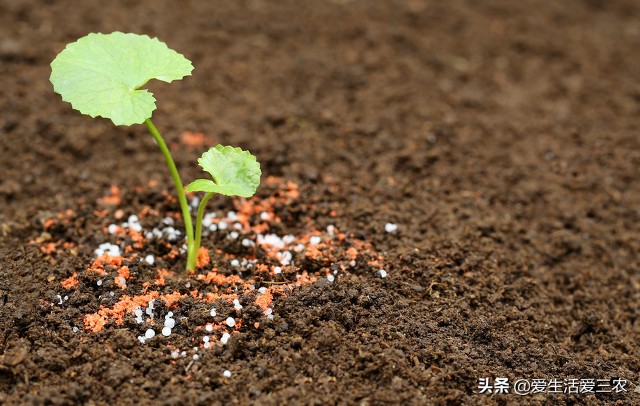 推荐几个藏在农村，不起眼的小项目，从业者都在闷声发财