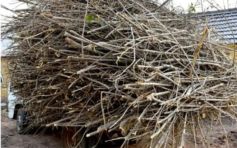 现在农村干啥能赚钱快,三个不起眼却很暴利的小生意