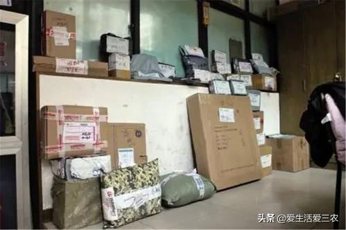 不需要技术、不需要很多本钱的农村项目有哪些?