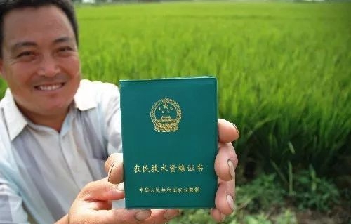 想致富,还在找项目的看过来,这几个项目很适合你