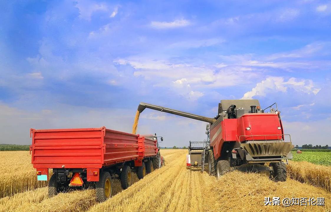 2021年打算辞职回农村的,可以试试这3个项目,小投资,高收入