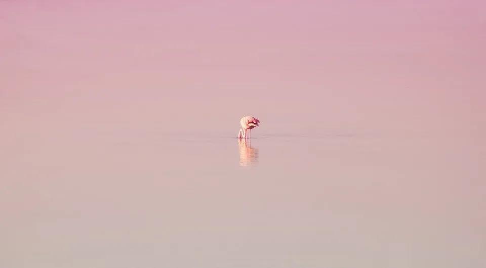 教你如何注册一家自己的公司