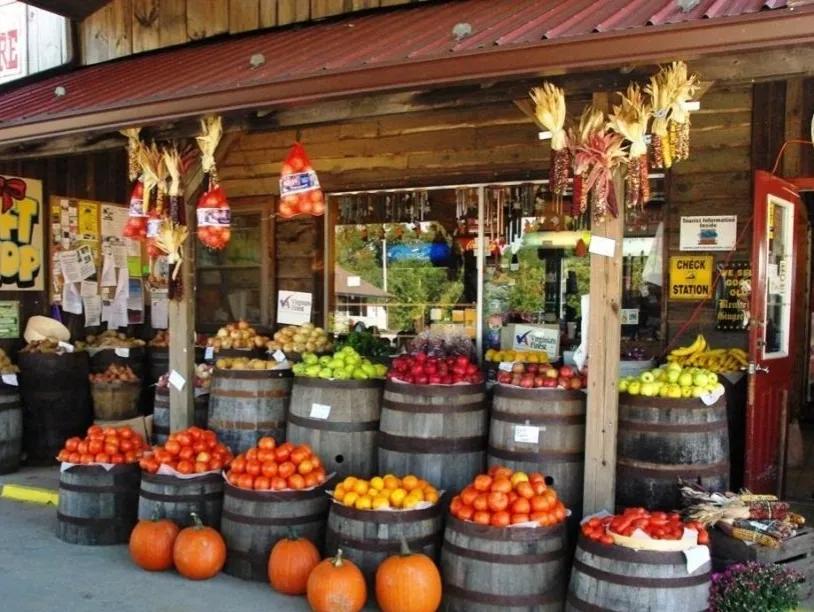 不想打工的农村人,回农村做什么比较合适呢?这些项目值得一试