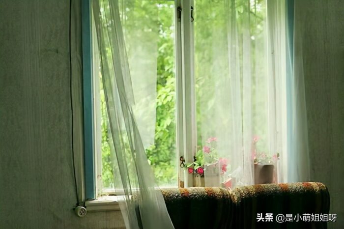 互联网项目现在有什么好做的(互联网成本低的轻创业项目)-专在家创业网