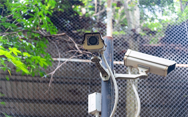 这些隐藏在农村的小生意,做好了都可以月收入轻松实现一万以上