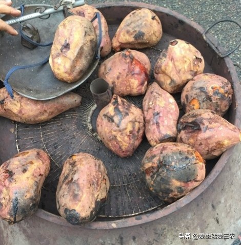 推荐几个藏在农村，不起眼的小项目，从业者都在闷声发财