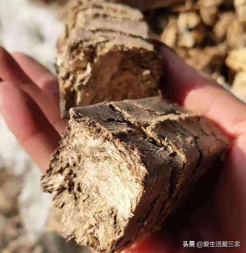 分享五个投资小、利润高的农村小型加工厂,建议收藏