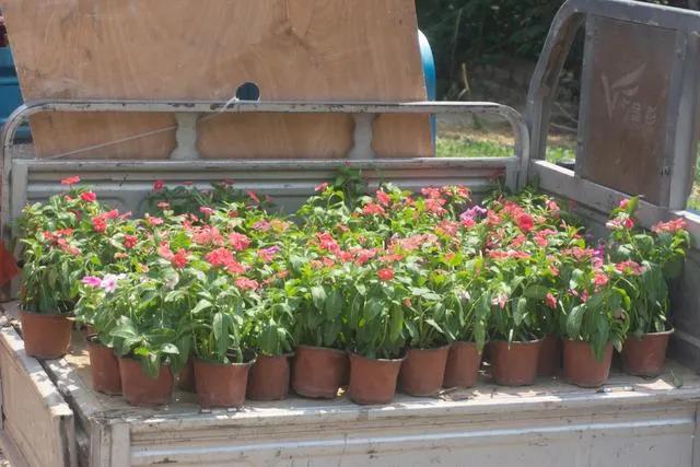 200个农村创业项目大分享(7)倒卖生意篇