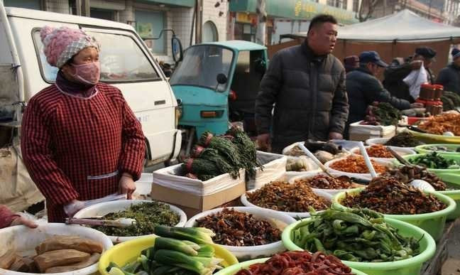 五个生意在农村悄然走红,在家待业的的农民,不妨试一试