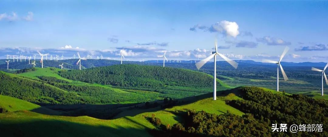 2021农村未来10大项目，蕴含万亿发展商机，抓住一项就有大发展