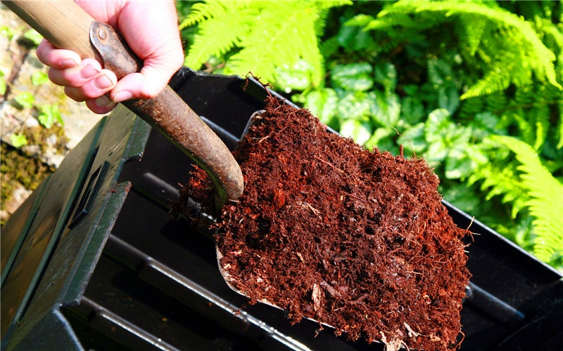 目前市场上,投入20万以内的加工厂,有哪些项目能做到年入百万?