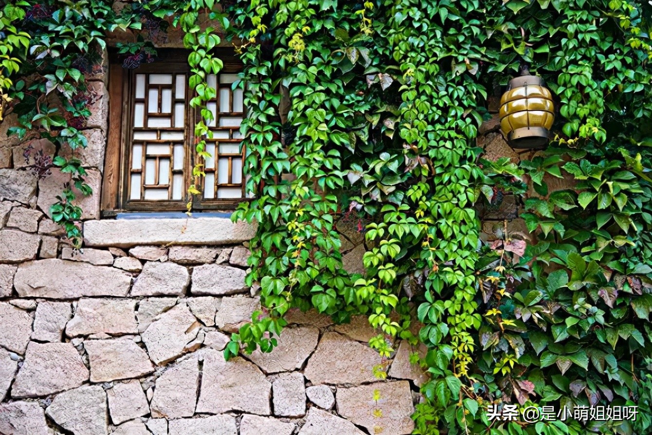 如果你现在很穷,不妨试一下互联网低成本的轻创业,也许会有惊喜