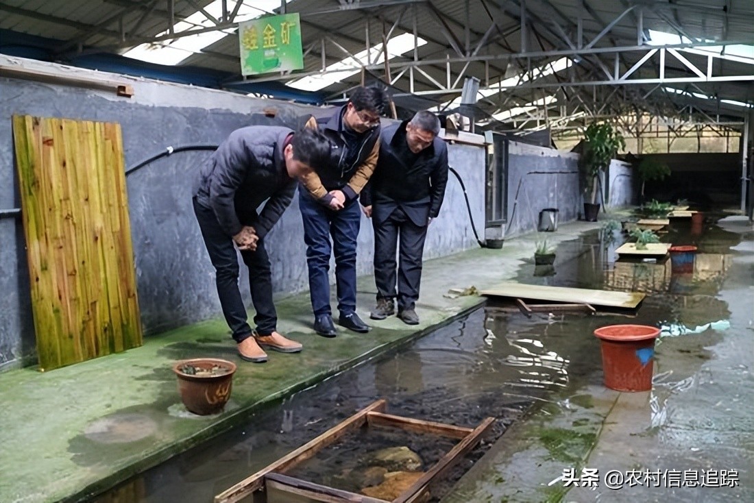 适合农村创业的项目,这3个项目可以试一试,做好不比出去打工差