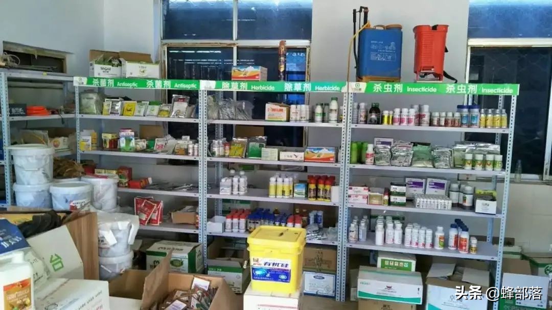 在农村，这7个项目可以赚钱，收入很不错，看看怎么做？