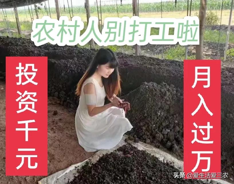 推荐四个农村低成本创业项目，门槛很低，最低投资只需千元