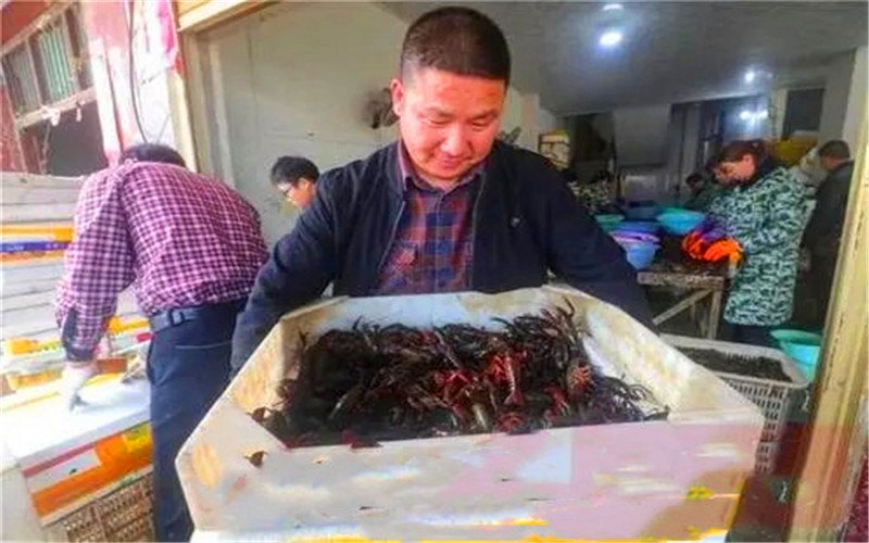 当前在农村，不需要资金投入，有哪些比较赚钱的途径呢？