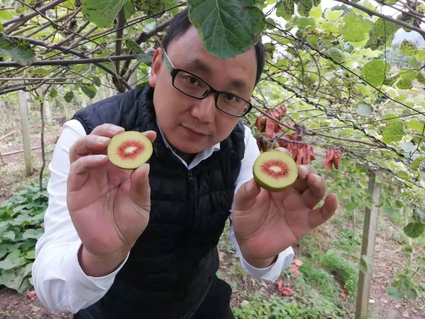 城市菜价涨，农村机会多？这8类人想返乡创业却没钱，咋白手起家