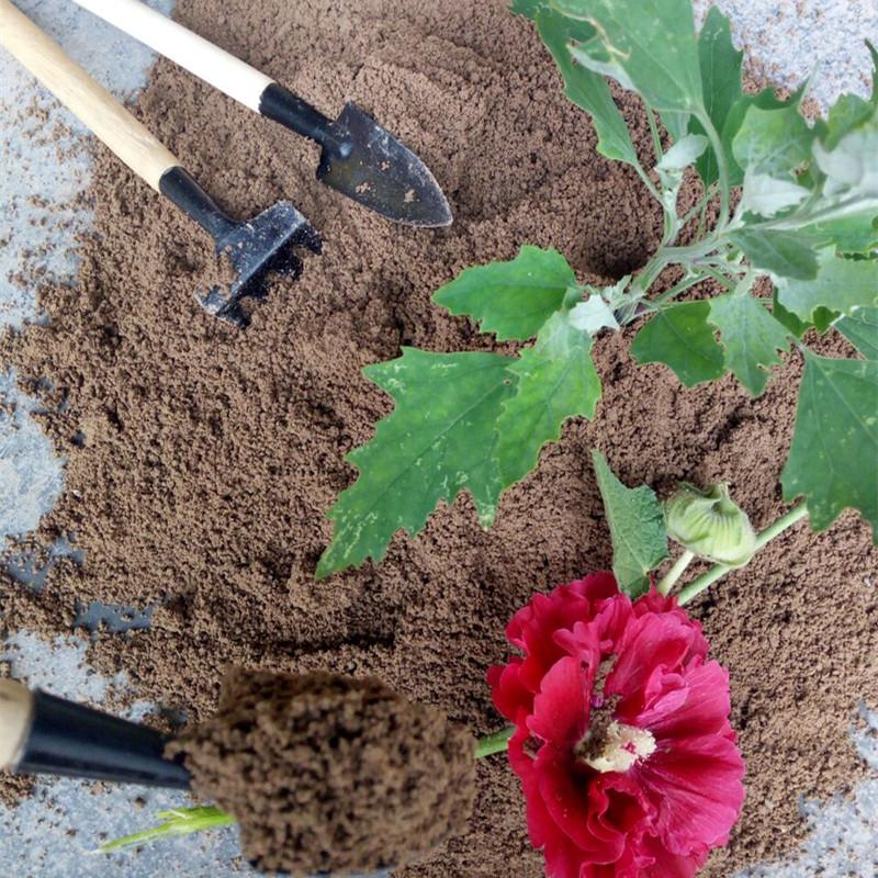 10万元的创业项目有哪些？这4个项目值得你参考