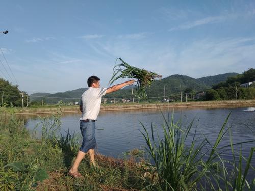 五个生意在农村悄然走红,在家待业的的农民,不妨试一试