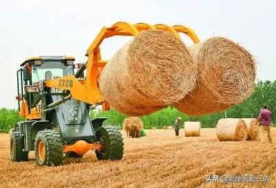 分享五个适合农村人创业项目，投资小实操性强，建议收藏！