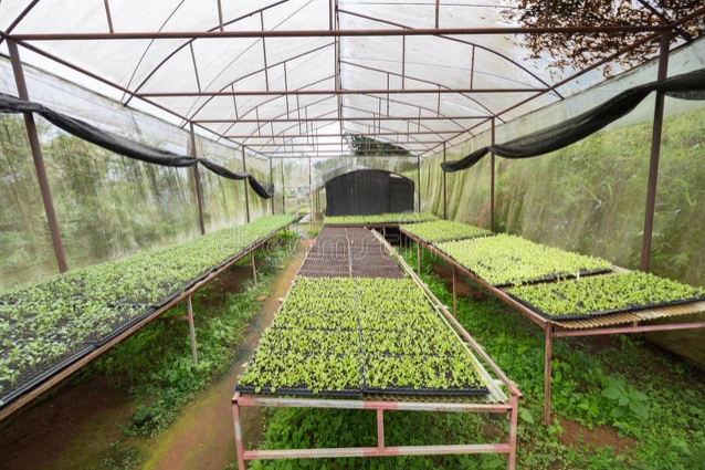 普通人在家也能开办自己的小加工厂了,适合的项目有这几种