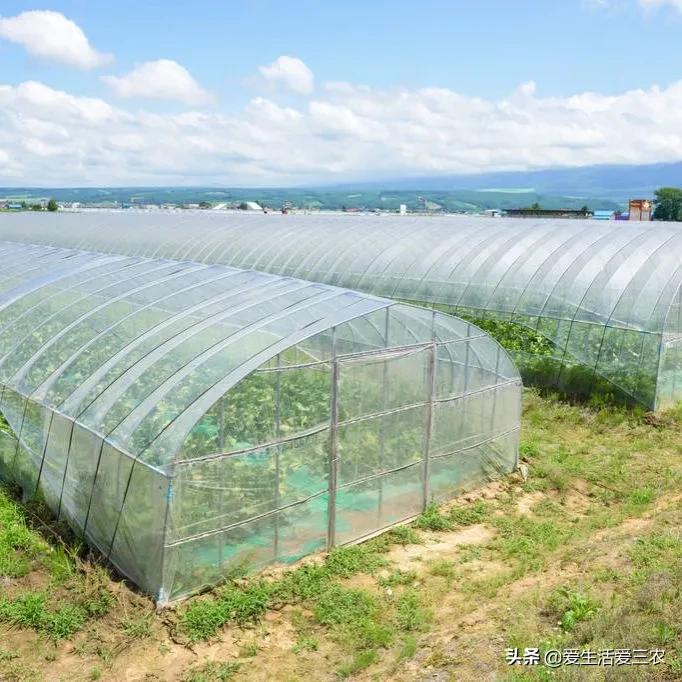 想在农村创业有怕赔钱?来做这几个很稳妥的项目吧,建议收藏