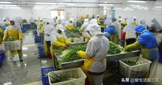 八大农村紧缺行业，的确利润高，想赚钱的来学