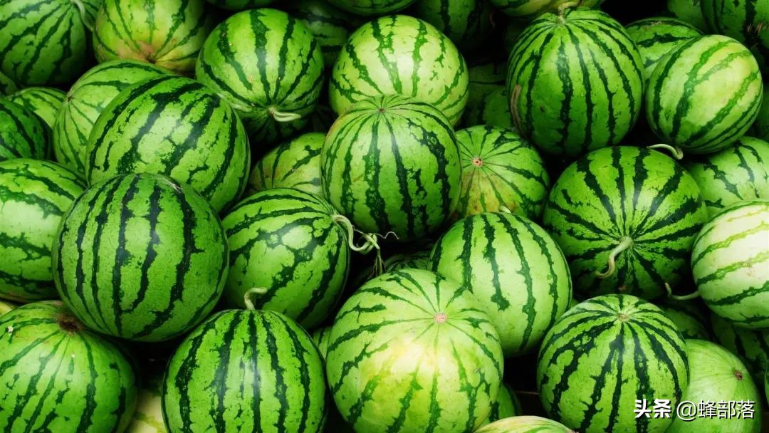 2021年农村发展,这些项目投资不多利润高,管理好赚50万是可能的