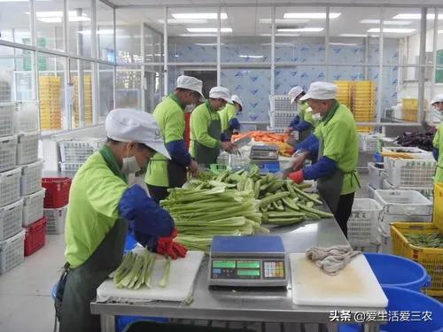 八大农村紧缺行业，的确利润高，想赚钱的来学